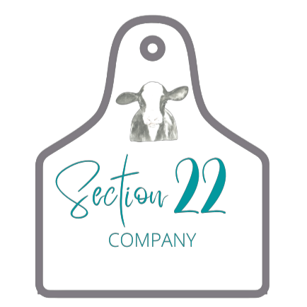 Section 22 Company